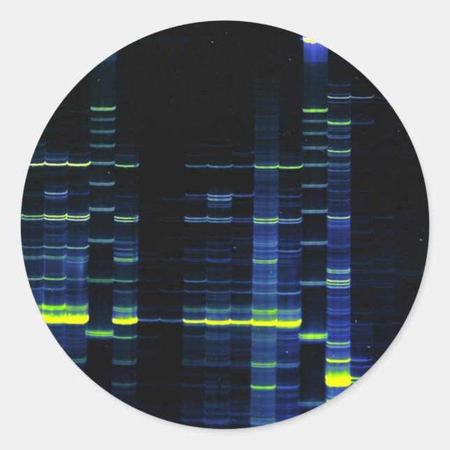 DNA Sequence gel 1 Classic Round Sticker (Front)