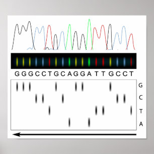 DNA sequencing principle Poster