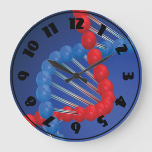 DNA Strand Clock