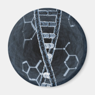 DNA strand Magnet