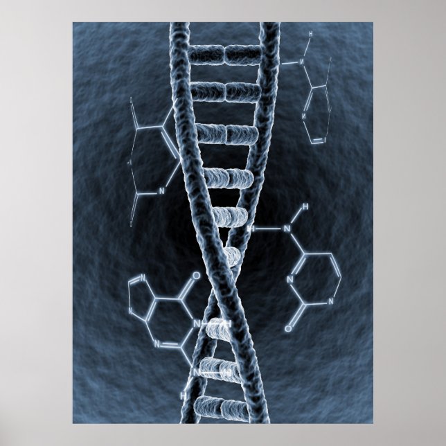 DNA strand Poster (Front)