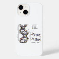 DNA Structure Deoxyribonucleic Acid Bases Diagram