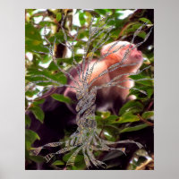 DNA TREE or Tree of Life POSTER MONKEY BACKGROUND