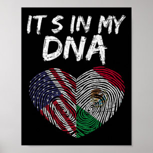 Dna Usa Flag American Mexican Flag Mexico  Poster