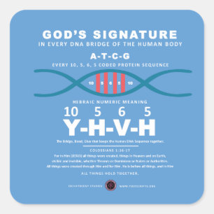 DNA-YHVH Code Square Sticker
