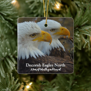 DNN feat. DNF Ceramic Ornament