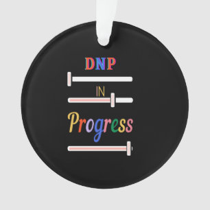 DNP en cours