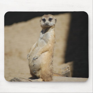 Do I look fat? Mouse Pad