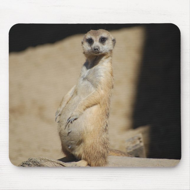 Do I look fat? Mouse Pad (Front)