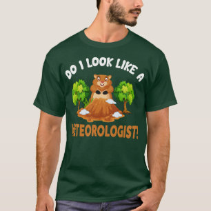 Do I Look Like A Meteorologist T-Shirt