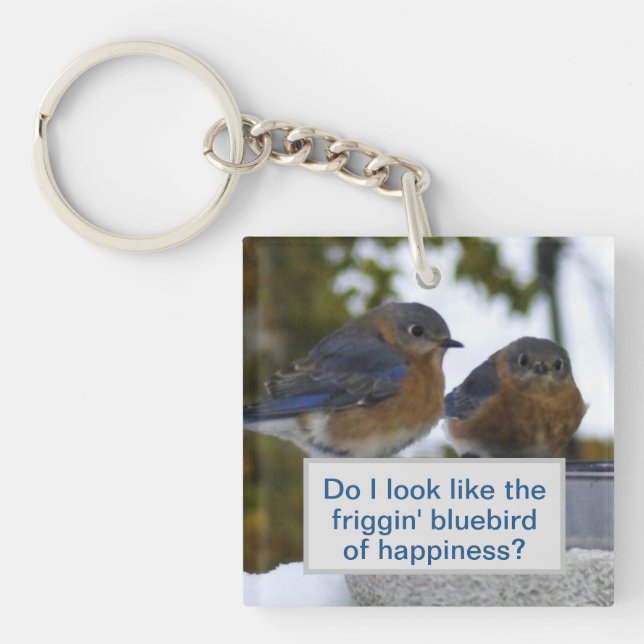Do I Look Like Bluebird of Happiness Keychain (Front)