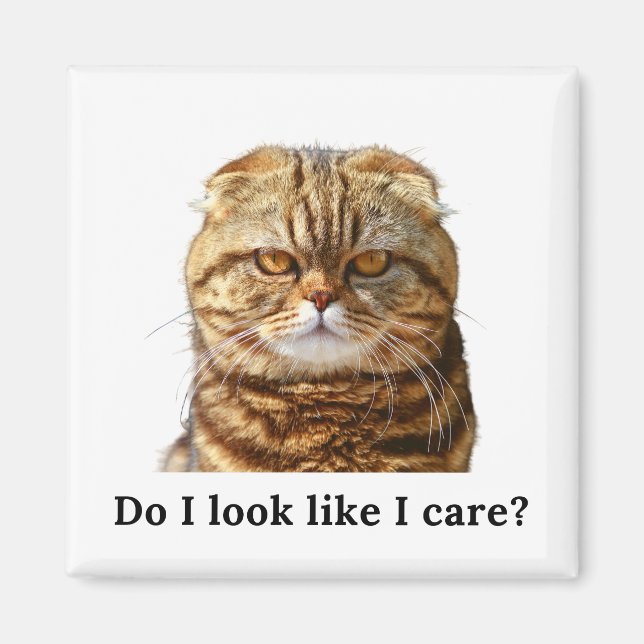 "Do I look like I care" Grumpy Cat Magnet (Front)