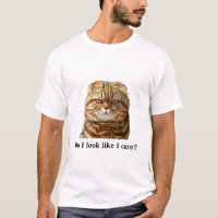 "Do I look like I care" Grumpy Cat
