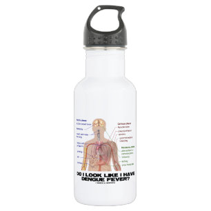 Do I Look Like I Have Dengue Fever (Anatomy) 532 Ml Water Bottle
