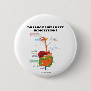 Do I Look Like I Have Indigestion? (Medical) 2 Inch Round Button