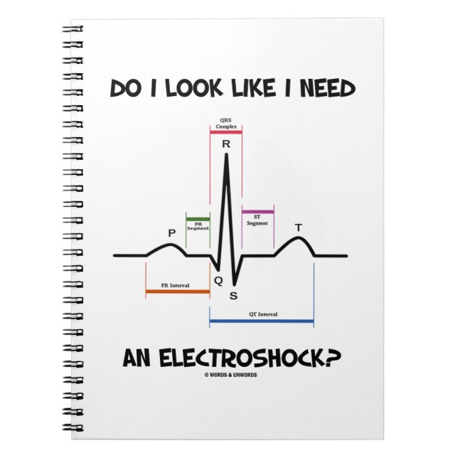 Do I Look Like I Need An Electroshock? EKG ECG Notebook (Front)