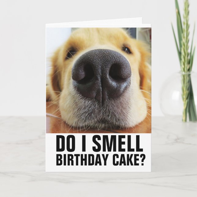 DO I SMELL BIRTHDAY CAKE? FUNNY CLOSEUP DOG CARDS (Front)
