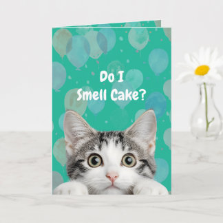 Do I Smell Cake Cute kitten Birthday Card