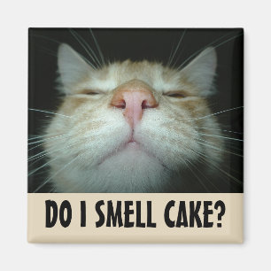 DO I SMELL CAKE? FUNNY ORANGE CAT MAGNETS