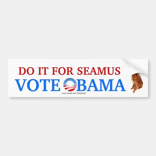 Do it for Seamus bumper sticker (Front)