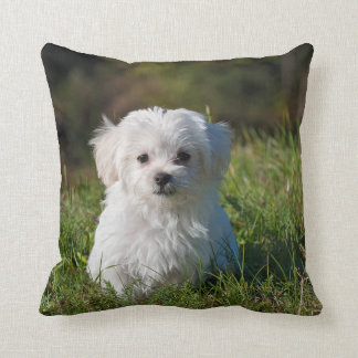 DO-IT-YOURSELF - Imprimer sur un COUSSIN - Ajouter