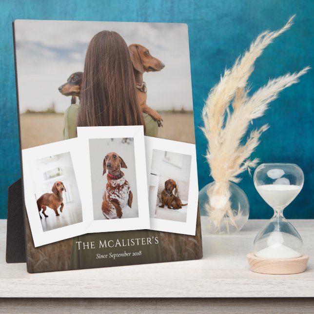 do-it-yourself Pet Four Photo Collage Plaque (Côté)