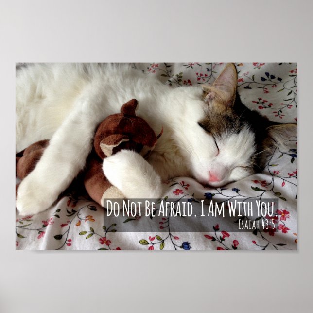 Do Not Be Afraid Cat Sleeping With Teddy Bear Poster (Front)
