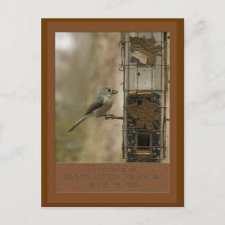 do not be afraid God will provide bird on feeder Postcard