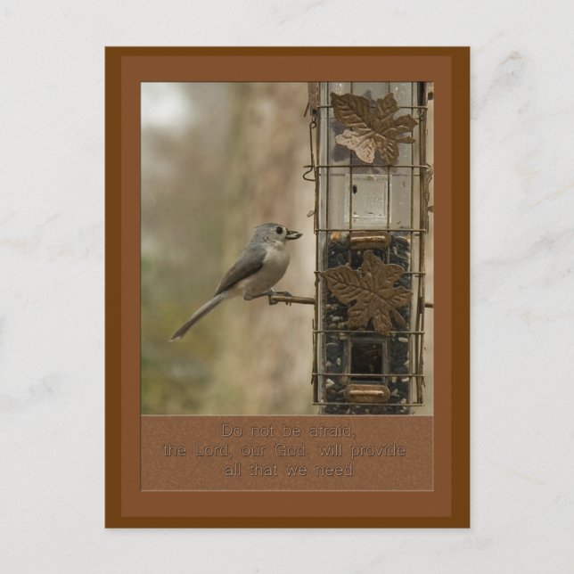 do not be afraid God will provide  bird on feeder Postcard (Front)