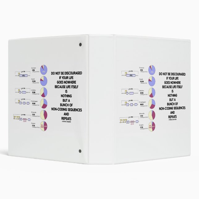 Do Not Be Discouraged Life Non-Coding Sequences Binder (Background)
