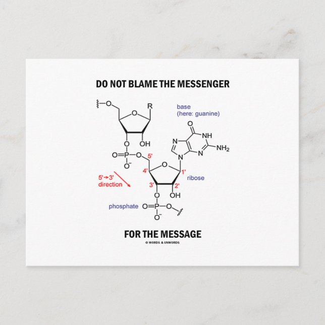 Do Not Blame The Messenger For The Message Postcard (Front)