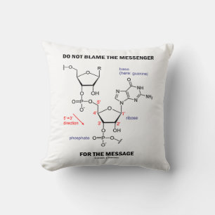 Do Not Blame The Messenger For The Message Throw Pillow