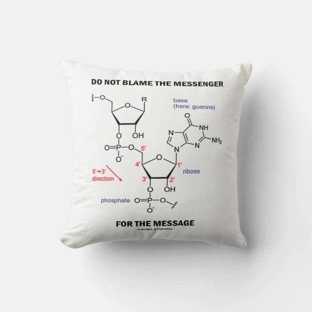 Do Not Blame The Messenger For The Message Throw Pillow (Front)