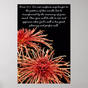 Do not conform any longer poster