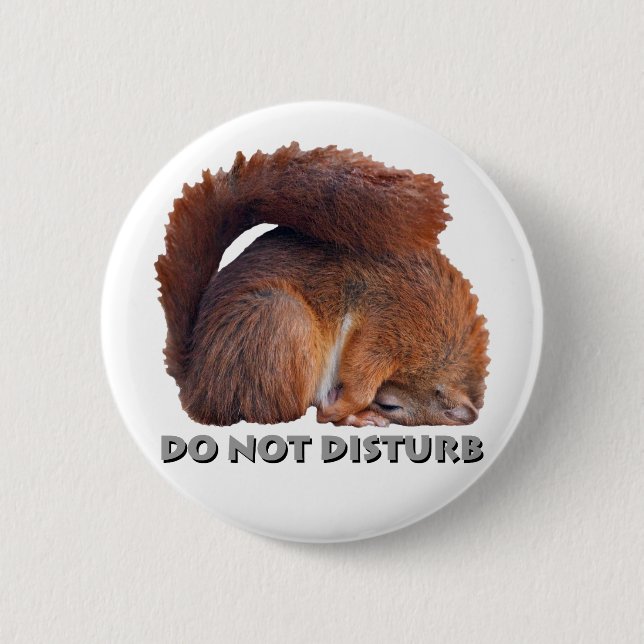 Do Not Disturb Badge 2 Inch Round Button (Front)