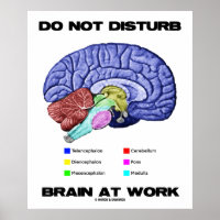 Do Not Disturb Brain At Work (Anatomical Humour)