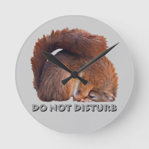 Do Not Disturb Clock (Light Grey)