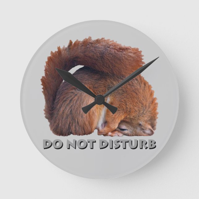 Do Not Disturb Clock (Light Grey) (Front)