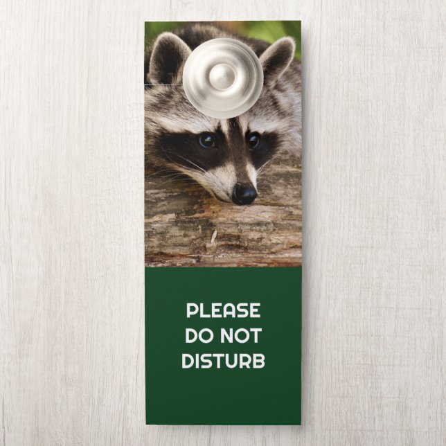 Do Not Disturb Cute Raccoon Resting on a Log Door Hanger (On Knob)