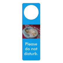 Do Not Disturb