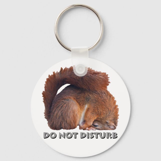 Do Not Disturb Keyring (Front)