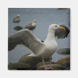 Do Not Disturb Magnet