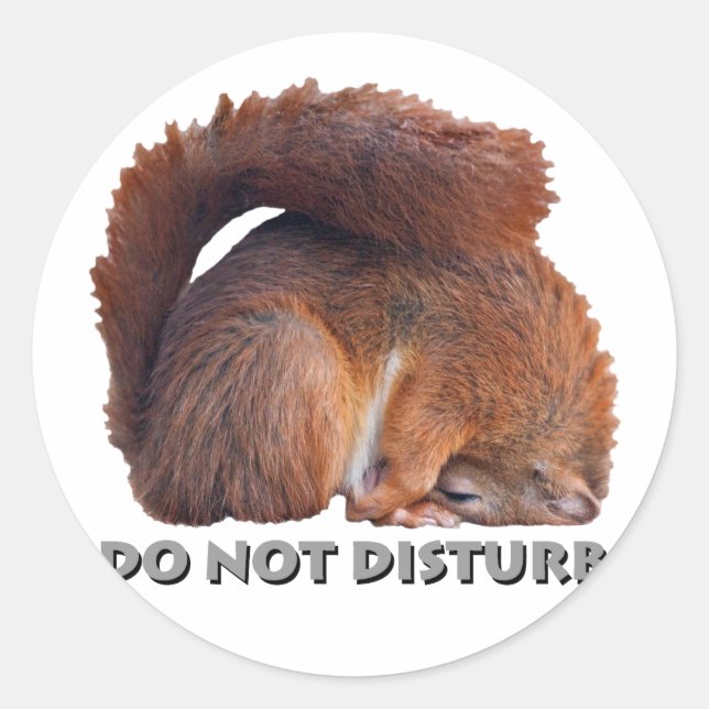 Do Not Disturb Stickers (Front)