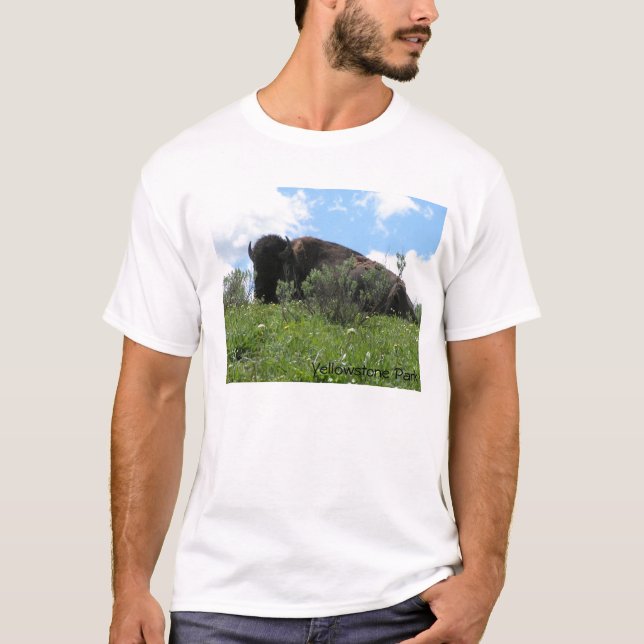 Do Not Disturb T-Shirt (Front)