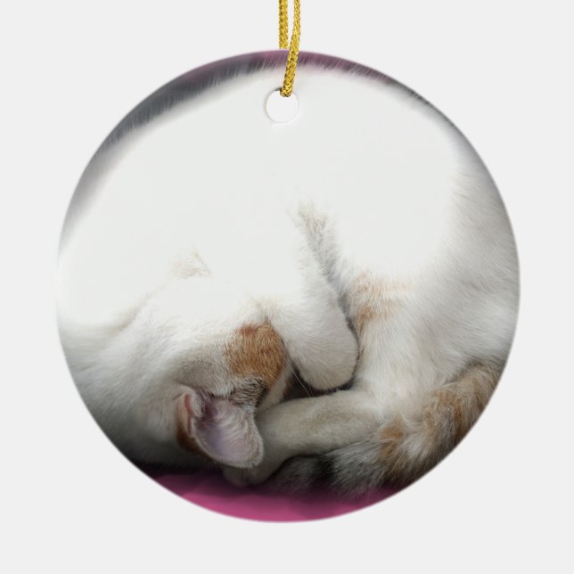 Do not Disturb the Cat Ornaments (Front)