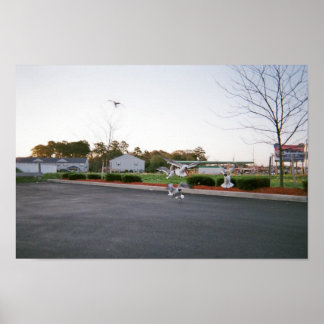 Do not feed seagulls poster