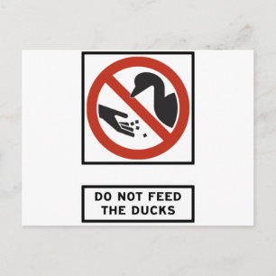 Do Not Feed the Ducks Highway Sign Postcard