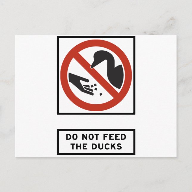 Do Not Feed the Ducks Highway Sign Postcard (Front)