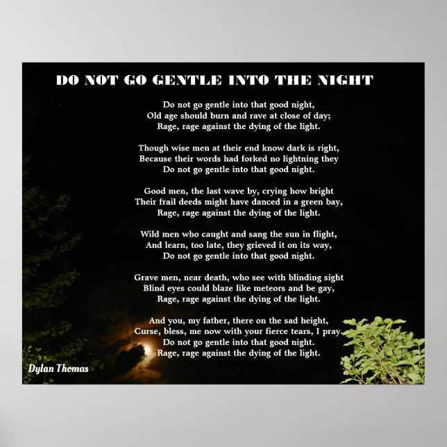 DO NOT GO GENTLE INTO THE NIGHT POSTER (Front)
