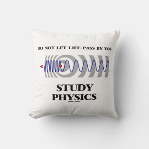 Do Not Let Life Pass By You Study Physics Throw Pillow